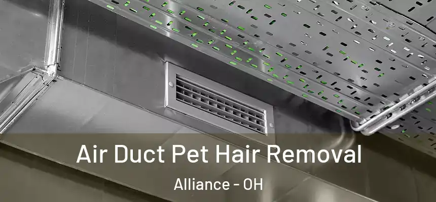 Air Duct Pet Hair Removal Alliance - OH