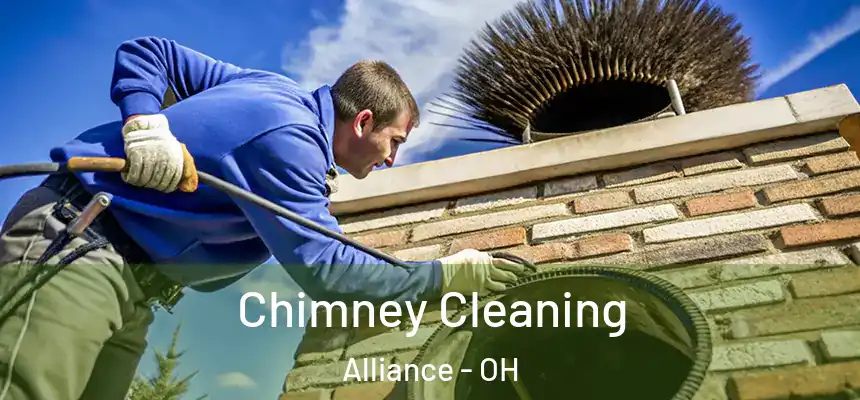  Chimney Cleaning Alliance - OH