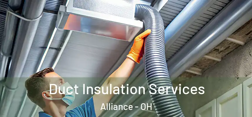  Duct Insulation Services Alliance - OH
