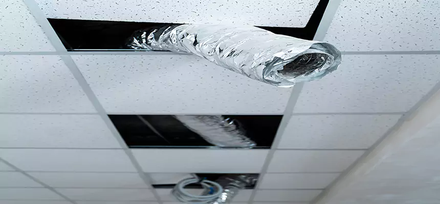 Our Air Duct Pet Hair Removal Services in Alliance, OH