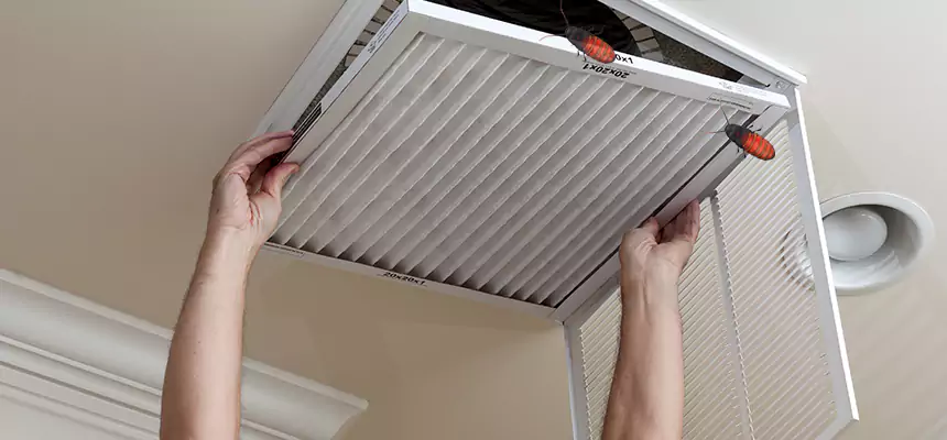 Our Insect Removal from Air Ducts Services in Alliance, OH