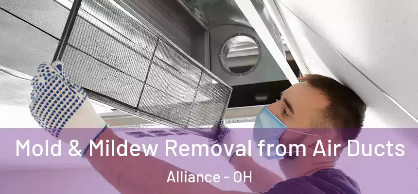 Mold & Mildew Removal from Air Ducts Alliance - OH