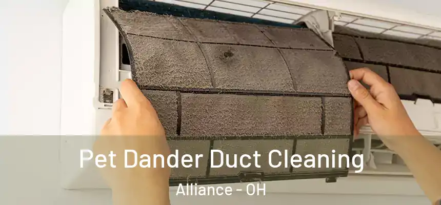 Pet Dander Duct Cleaning Alliance - OH
