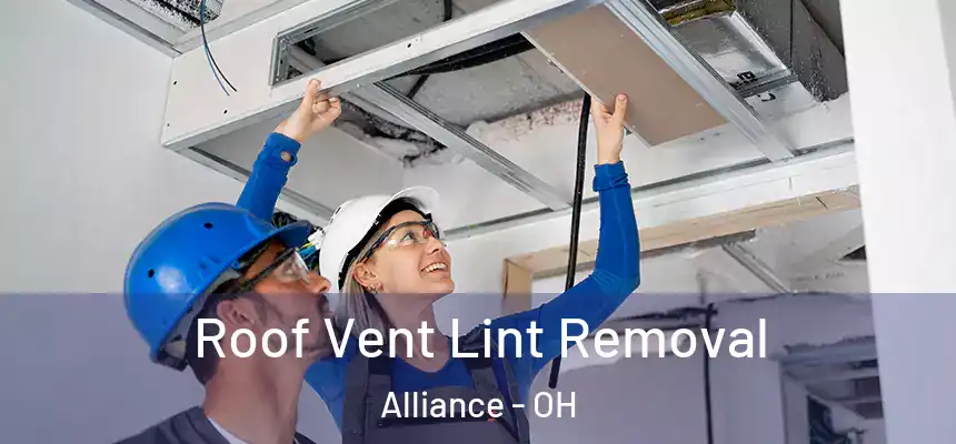  Roof Vent Lint Removal Alliance - OH
