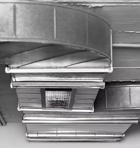 Professional Air Duct Pet Hair Removal in Alliance, OH