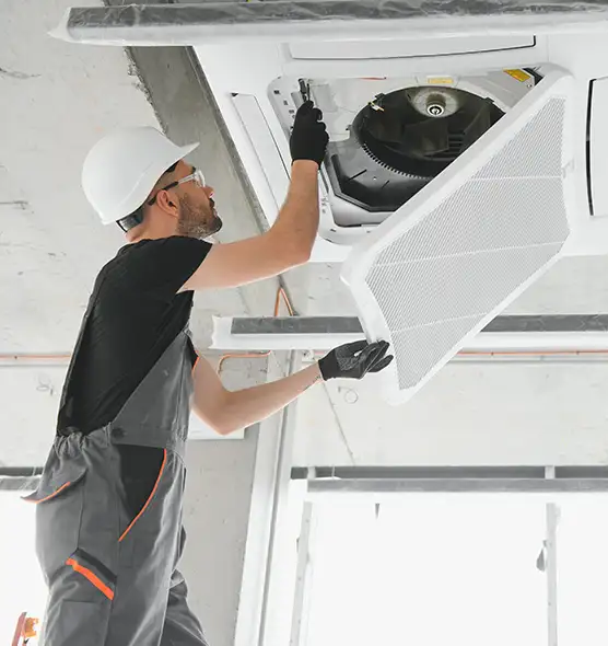 About Air Duct Rodent Removal in Alliance, OH