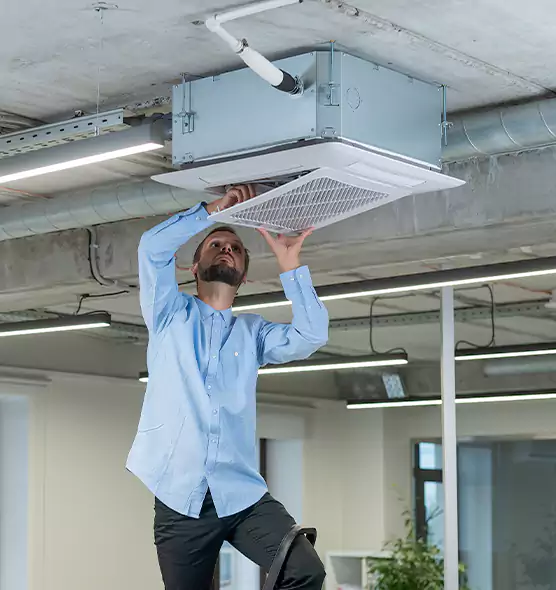 Advanced Rodent Droppings In Vents in Alliance, OH