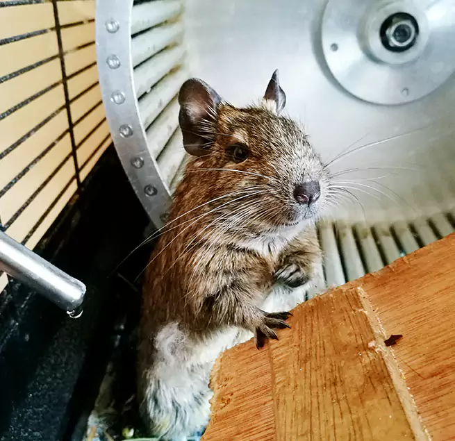 Why Homeowners & Businesses Trust Us Alliance, OH